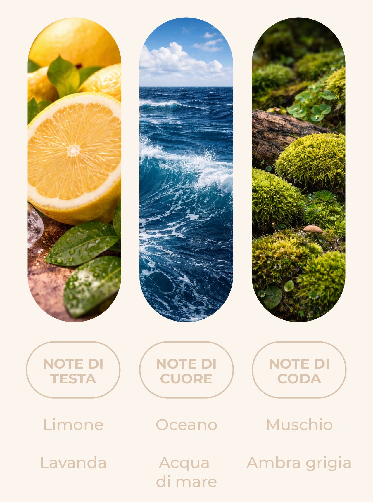 Fragranza "AQUA LUX"