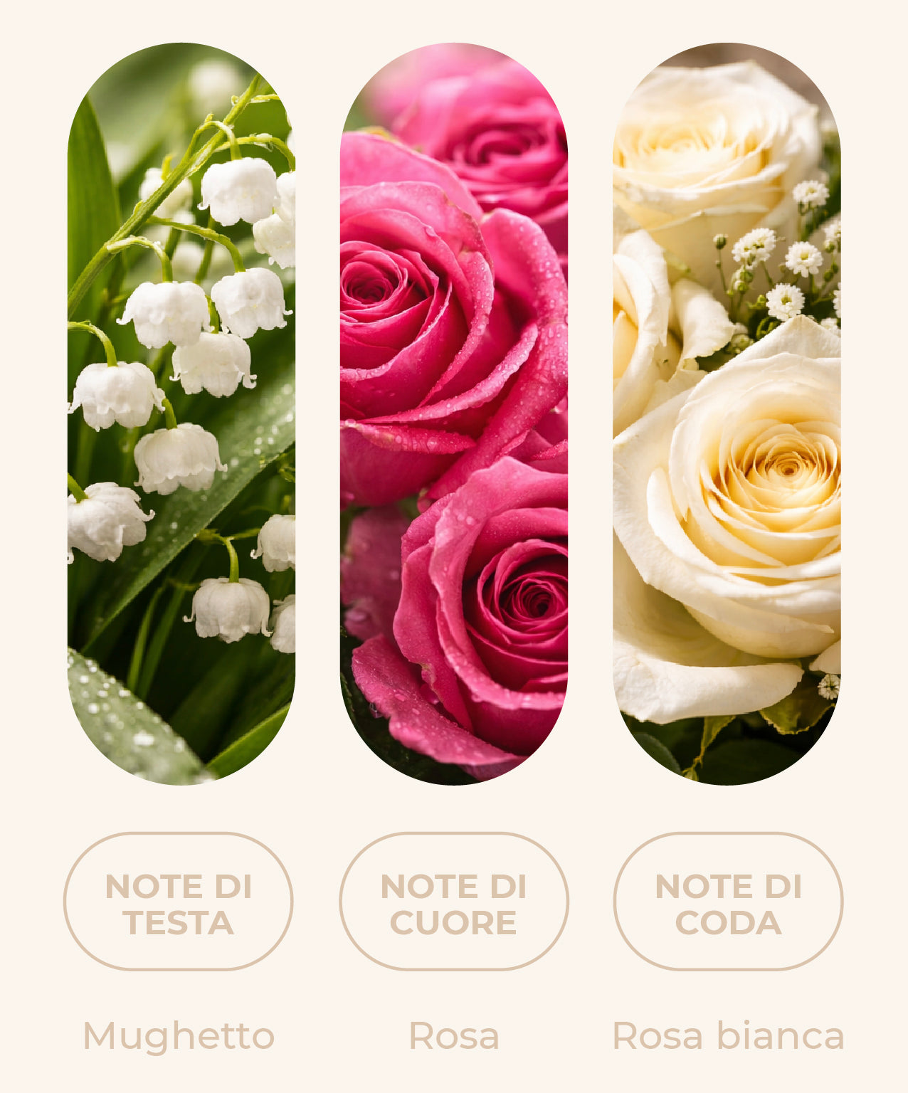 Fragranza "MODERN LUXURY"