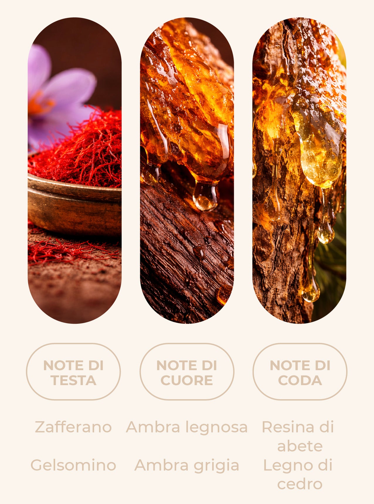 Fragranza "ROUGE VELVET"
