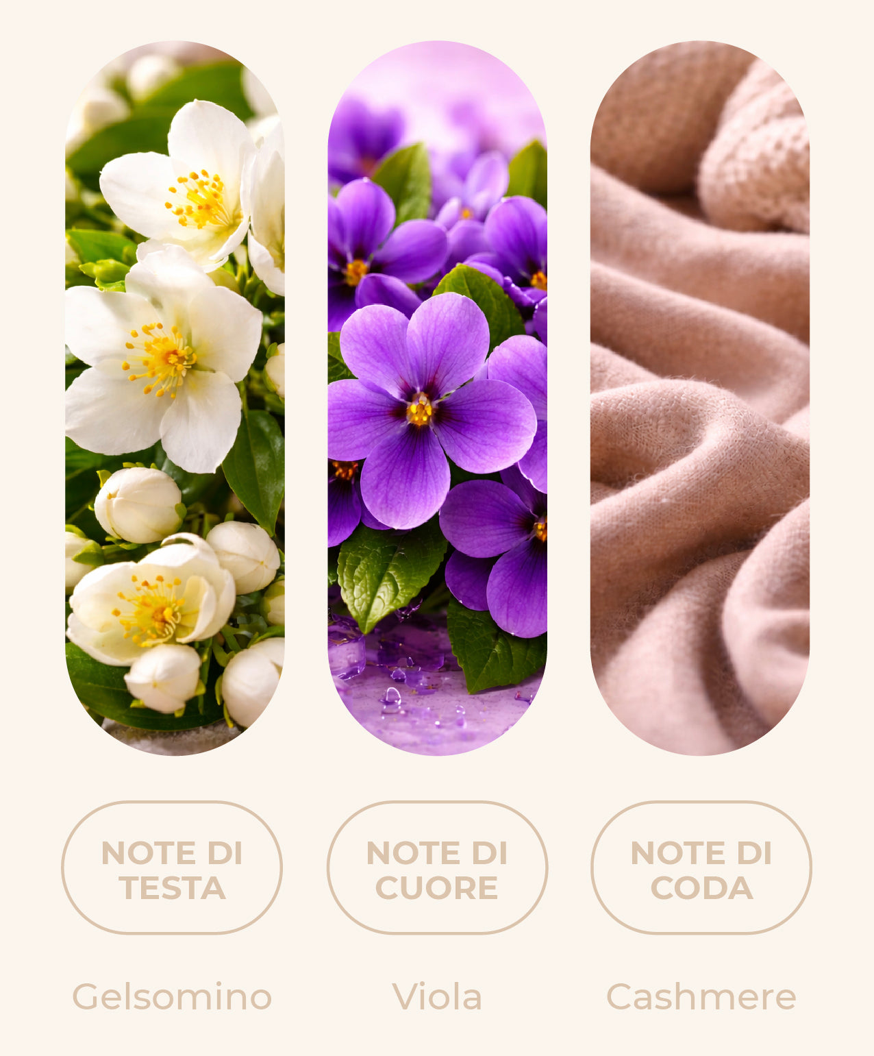 Fragranza "PURE CASHMERE"