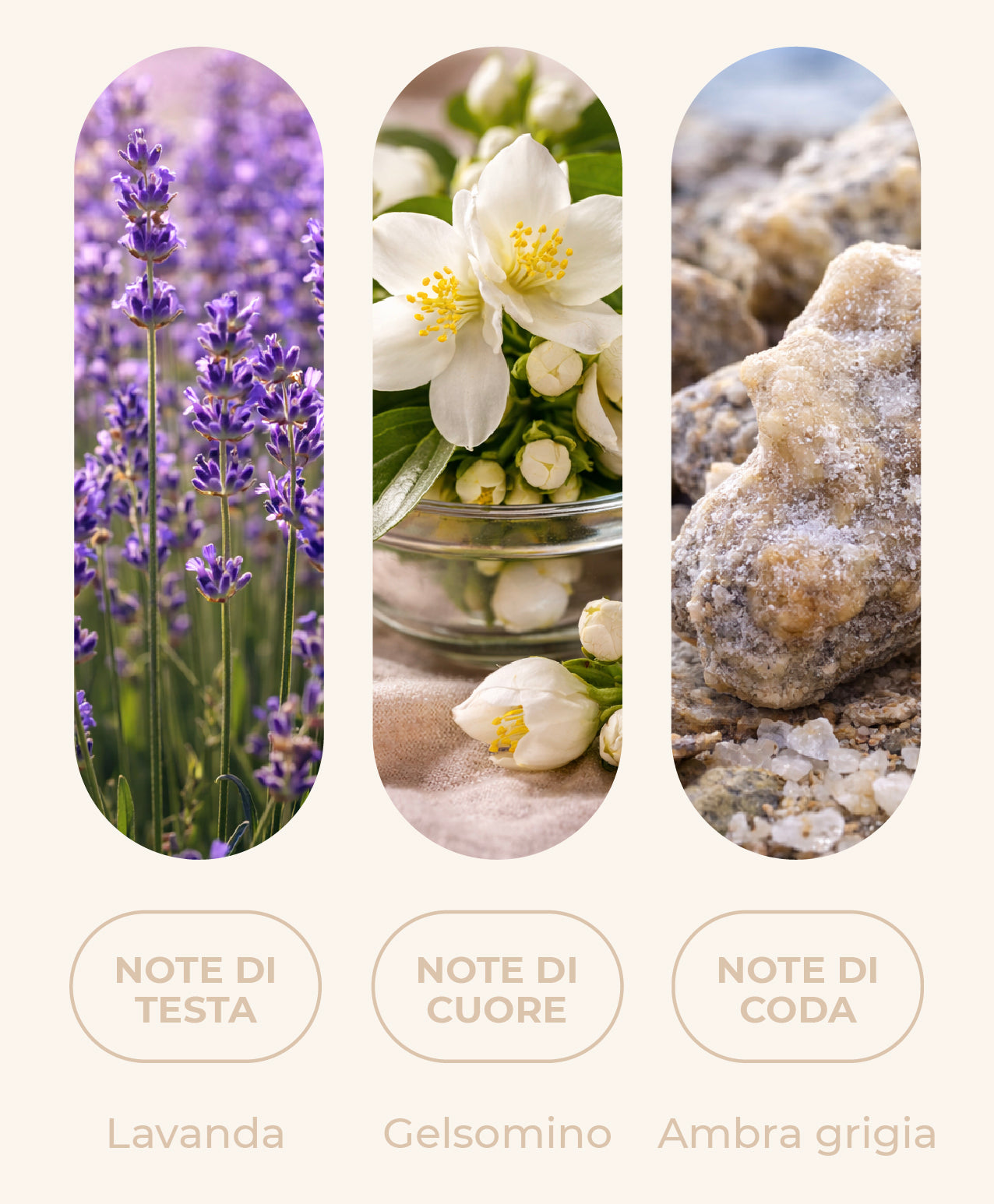 Fragranza "SEASONS ESSENCE"