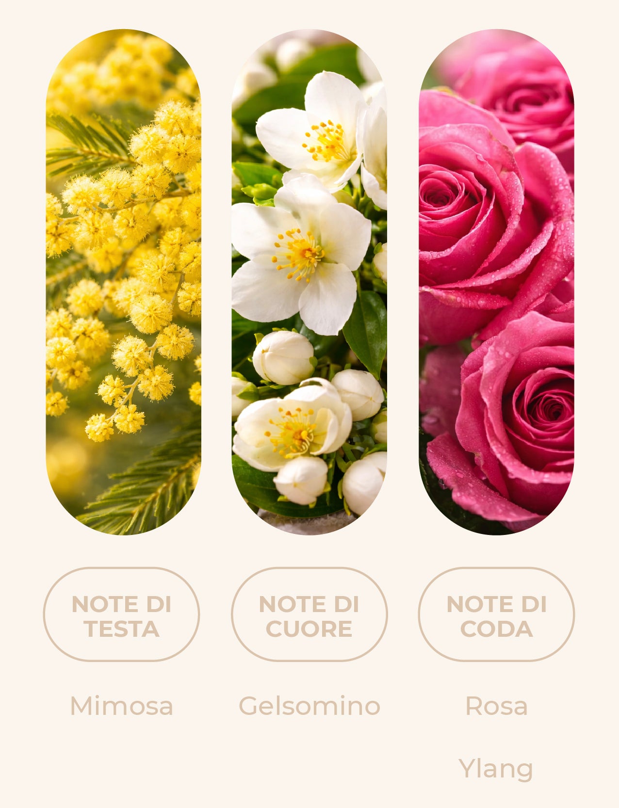 Fragranza "COCO SOFT"