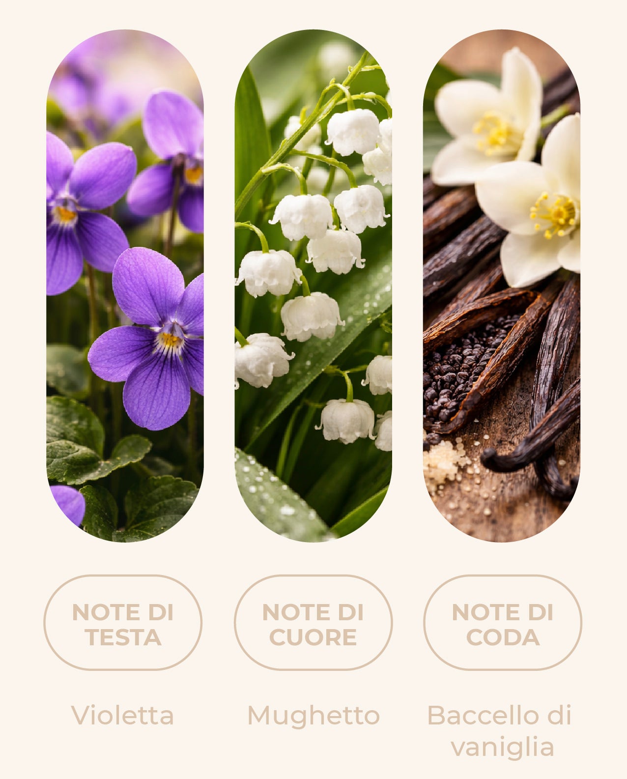 Fragranza "PETAL ESSENCE"